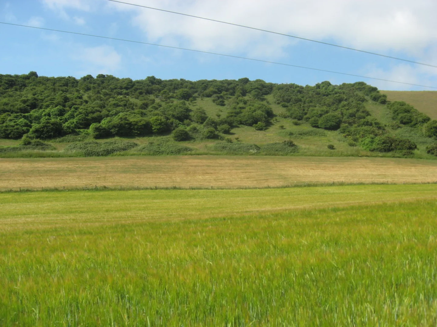 An image depicting the trail Beeding Hill and Thunders Barrow via Monarch's Way and its surrounding area.