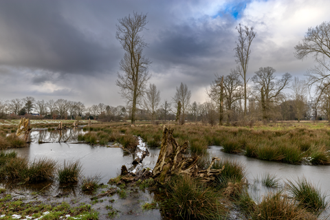 Zwolle to Hoogland via Roseboomspoor and Kerkpad