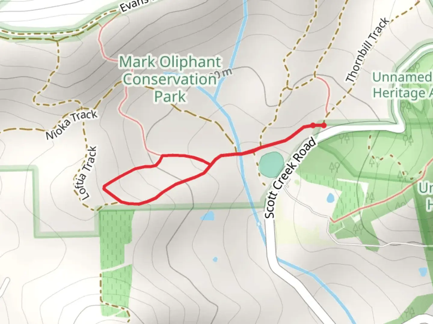 An image depicting the trail Skink Trail and its surrounding area.