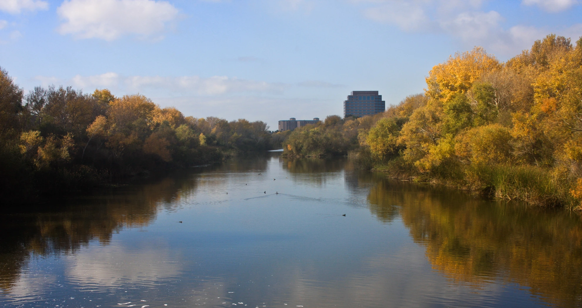 An image depicting the trail San Diego River Trail and its surrounding area.