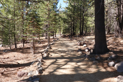 An image depicting the trail Devastated Area Interpretive Trail and its surrounding area.