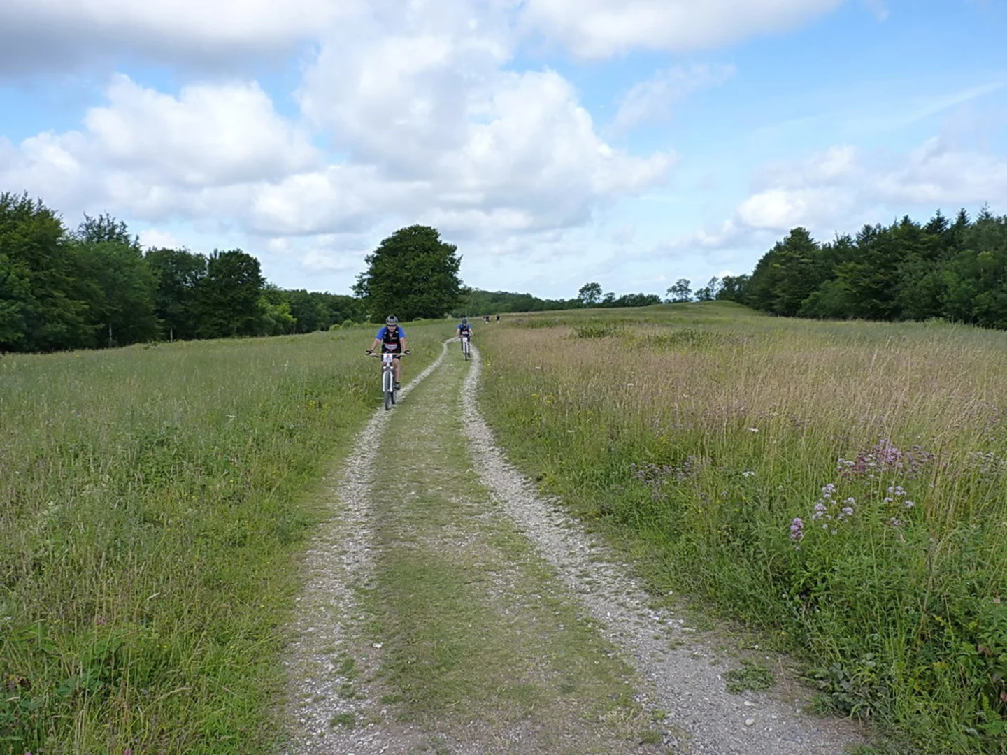 An image depicting the trail Cuckmere Haven Loop - Exceat and its surrounding area.