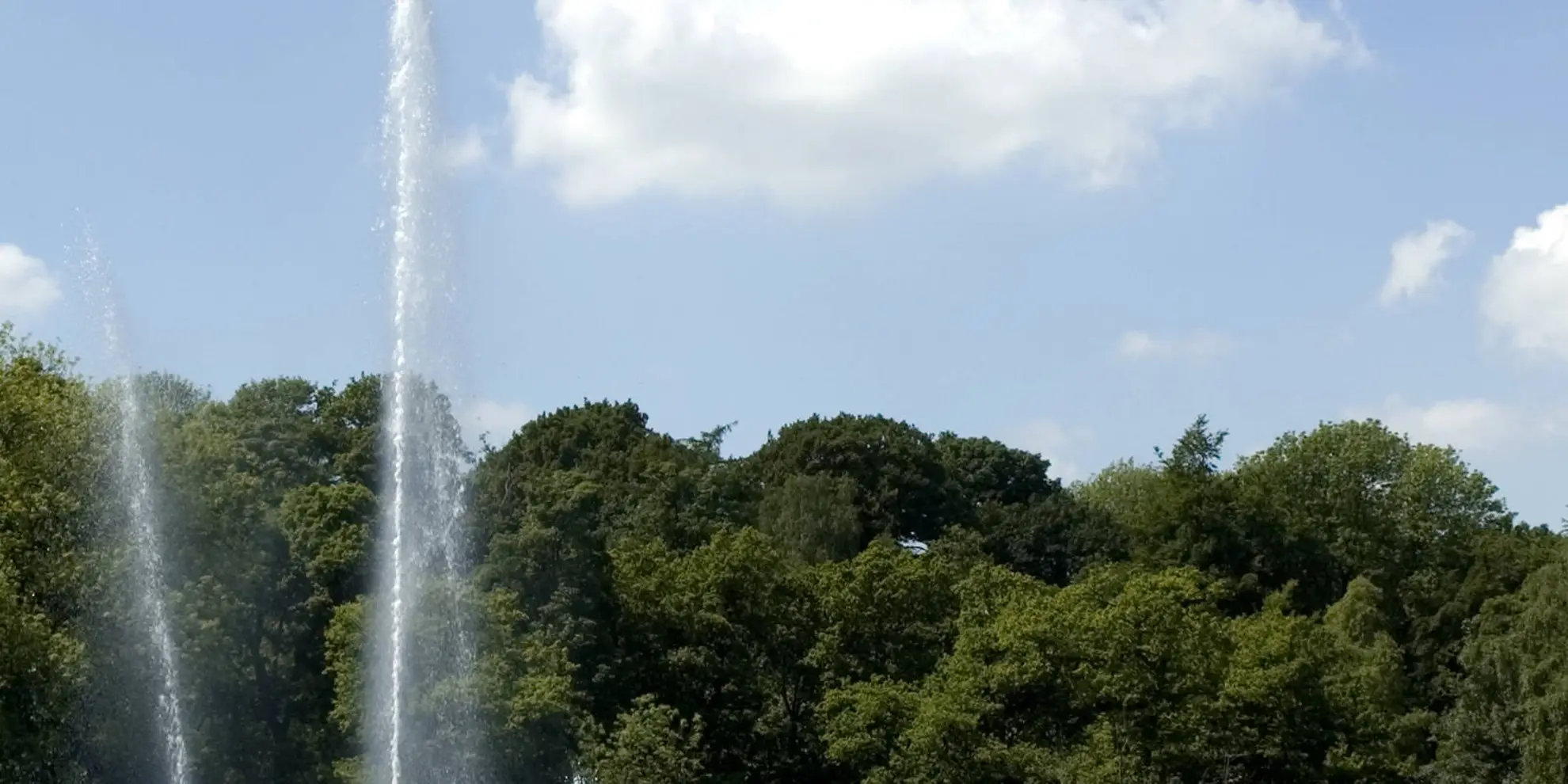 An image depicting the trail Roundhay Park and its surrounding area.