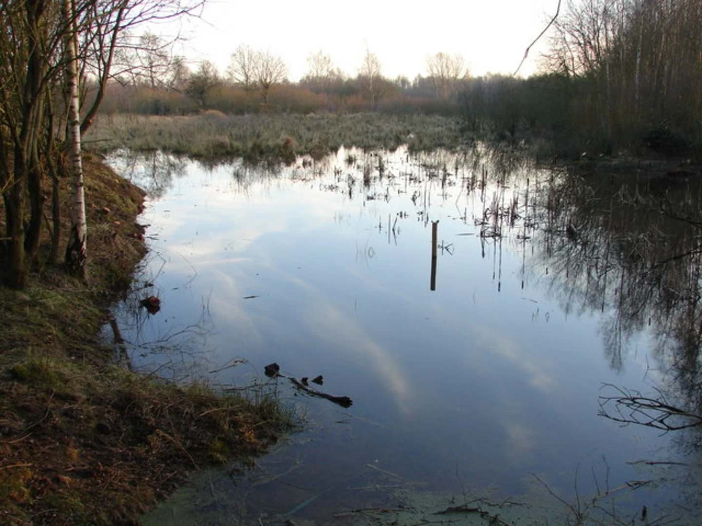 An image depicting the trail Thorpr Lake and Whisby Nature Park Loop and its surrounding area.
