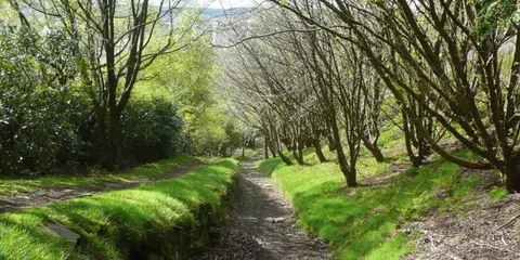 An image depicting the trail Halifax - The Magna via and Southowram and its surrounding area.
