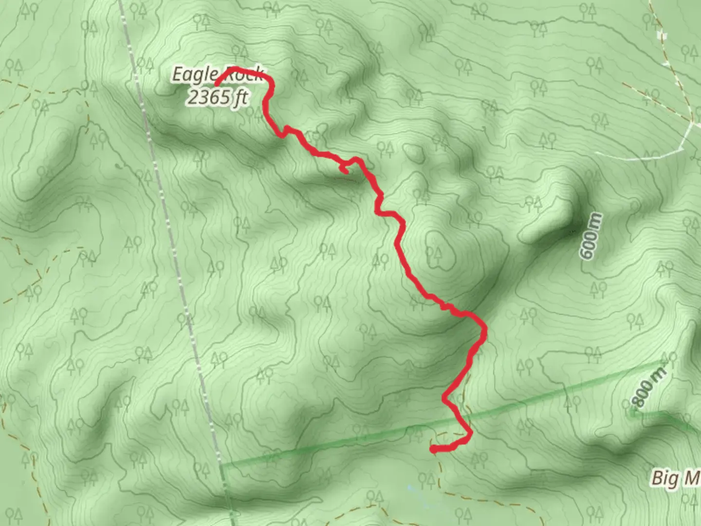 An image depicting the trail Eagle Rock Trail Out and Back and its surrounding area.