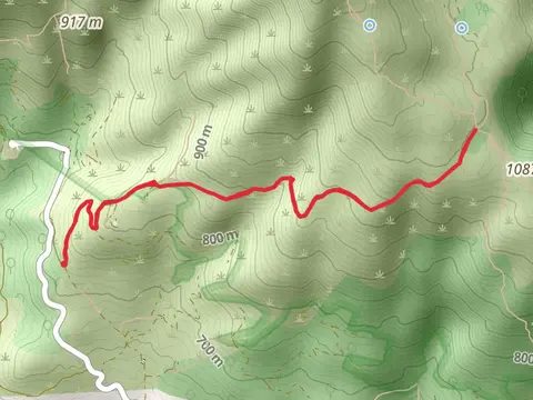 Route of the Cabreros SL AV 2