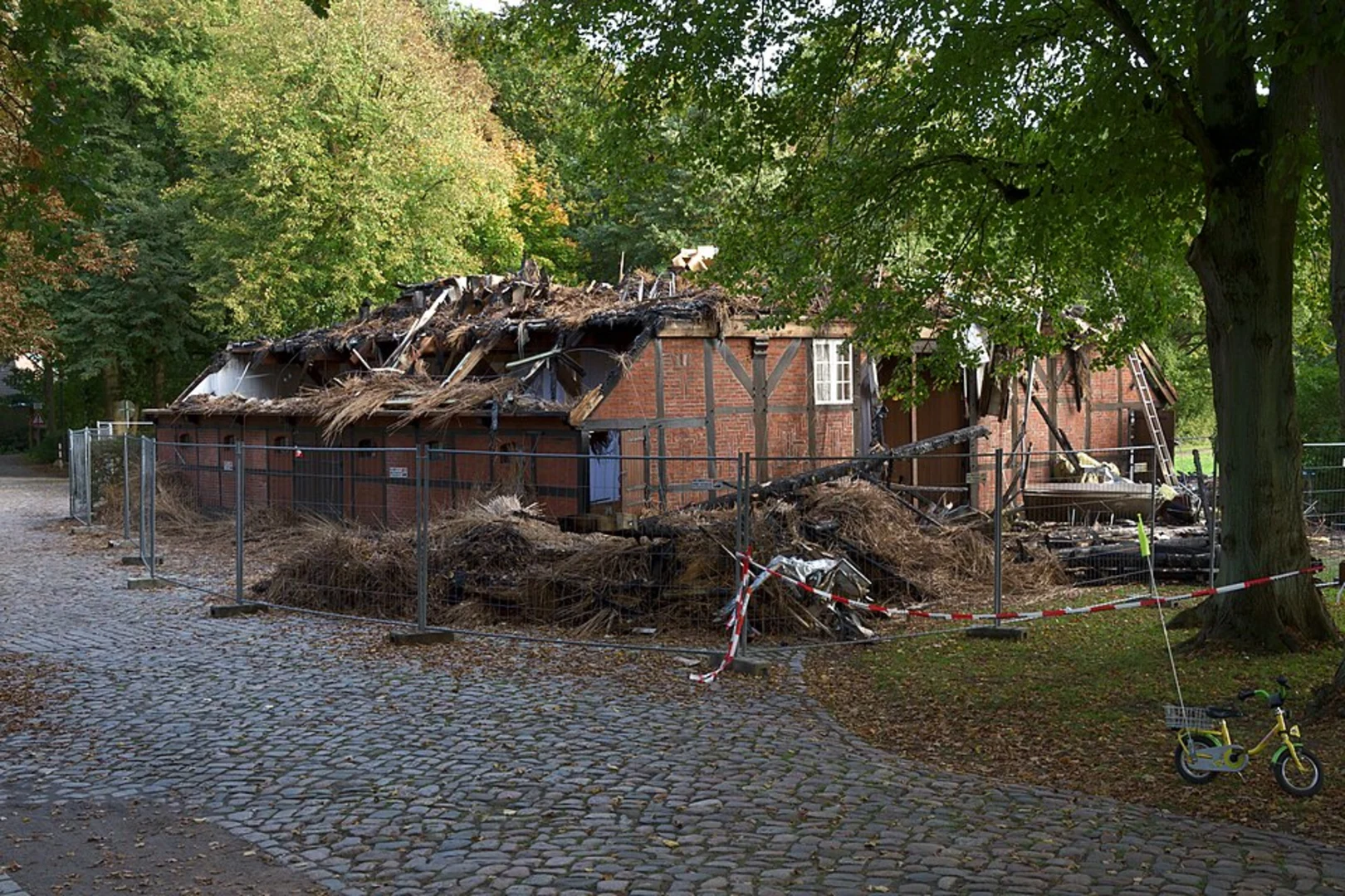 An image depicting the trail Heeder Tannen Loop and its surrounding area.