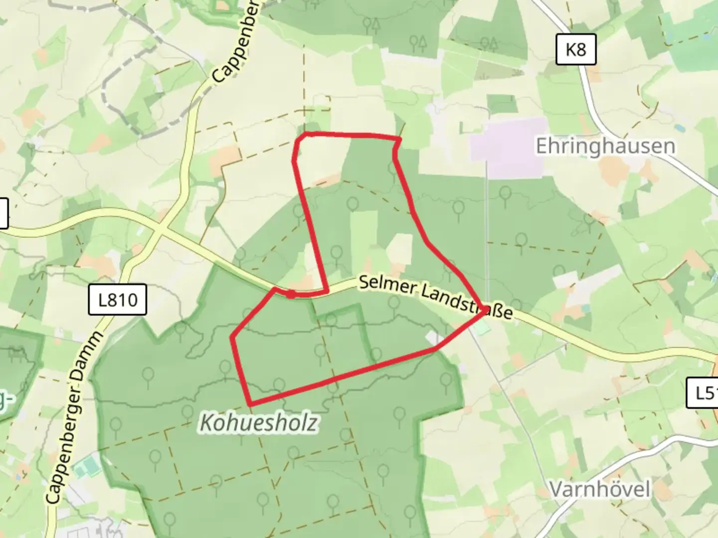 An image depicting the trail Wanderweg 1 Loop and its surrounding area.