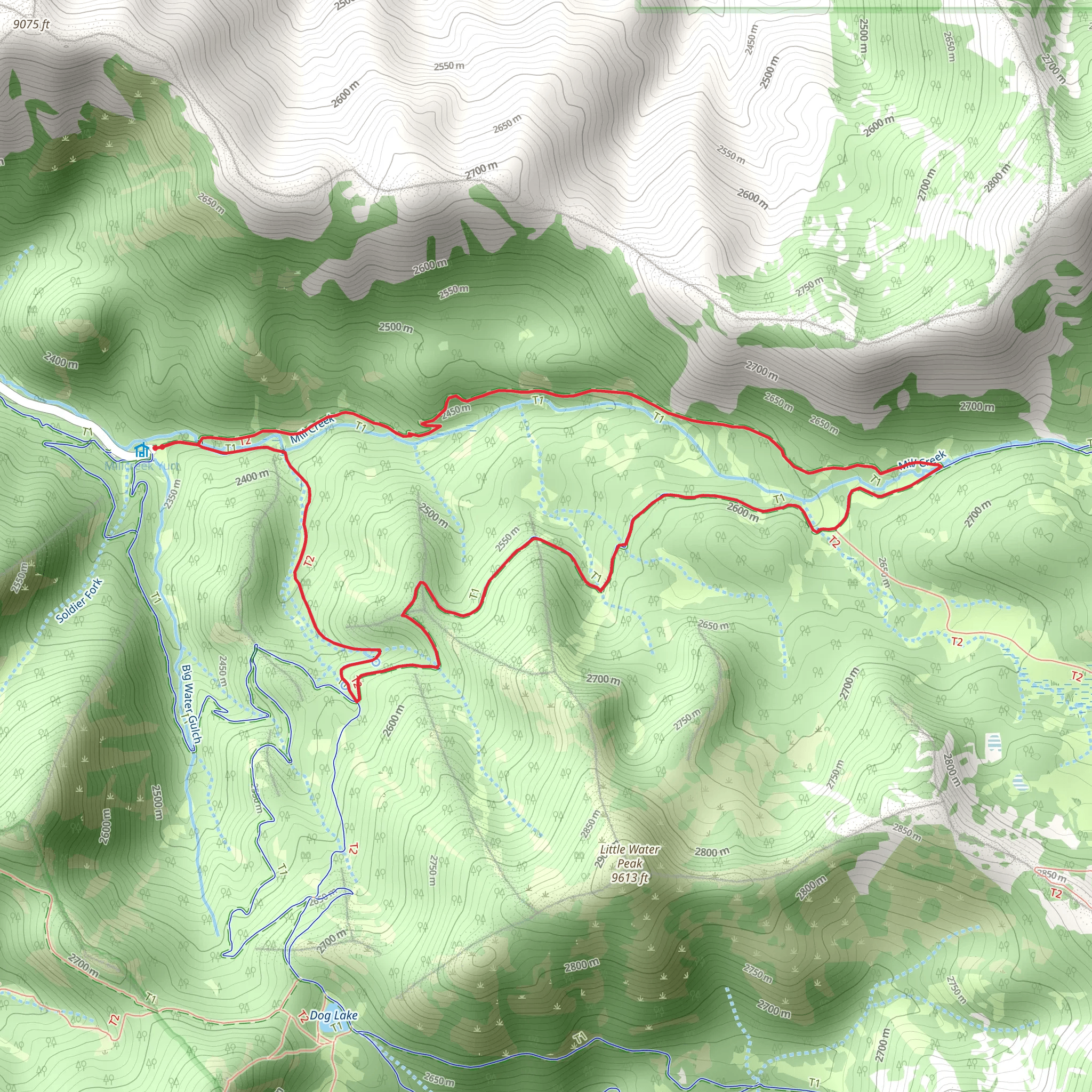 Old Red Pine Road Trail and Little Water Trail mobile static map