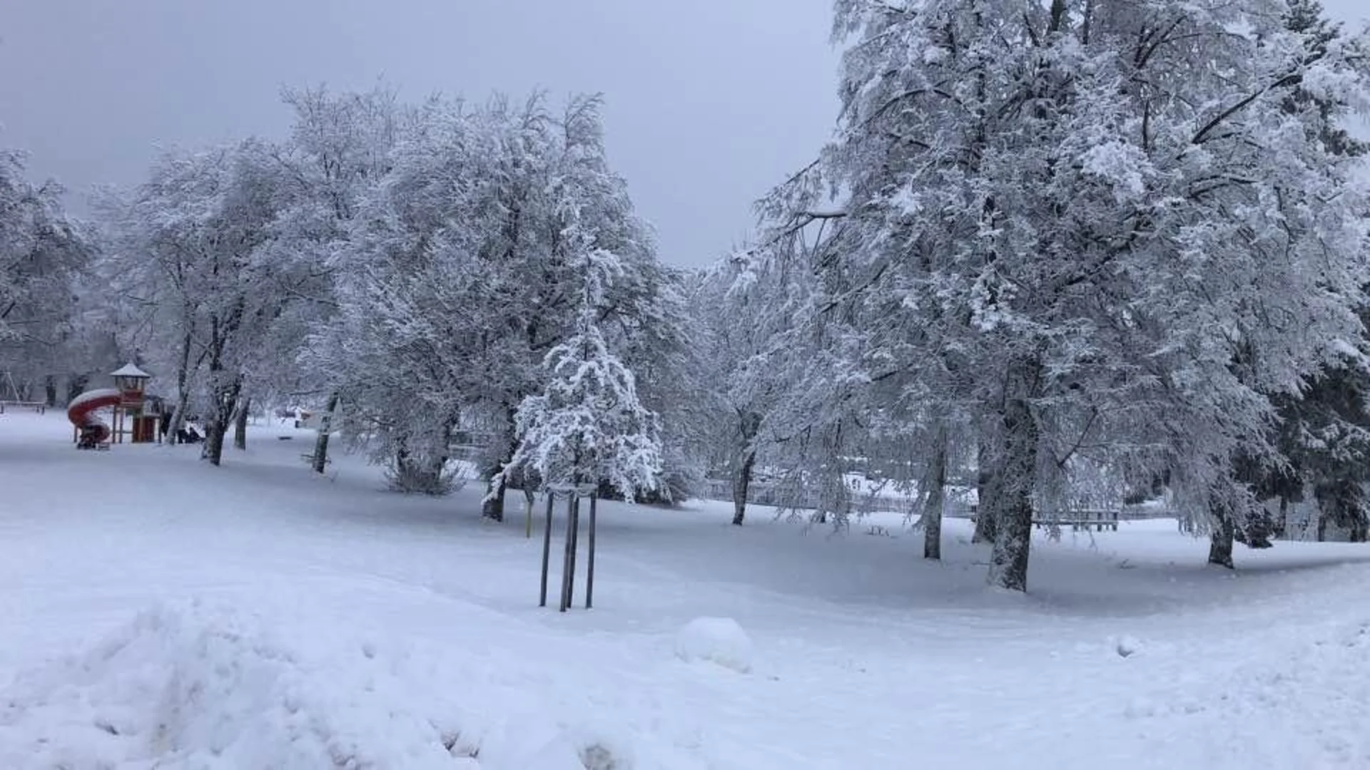 An image depicting the trail Ausgebrannter Stein, Oberer Sieglitzteich Loop - Oberhof and its surrounding area.