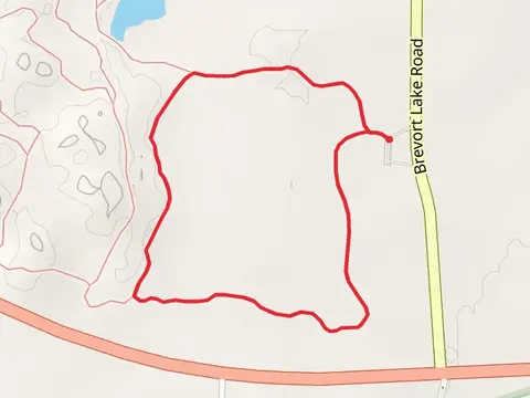Loop A - Brevort Lake Road