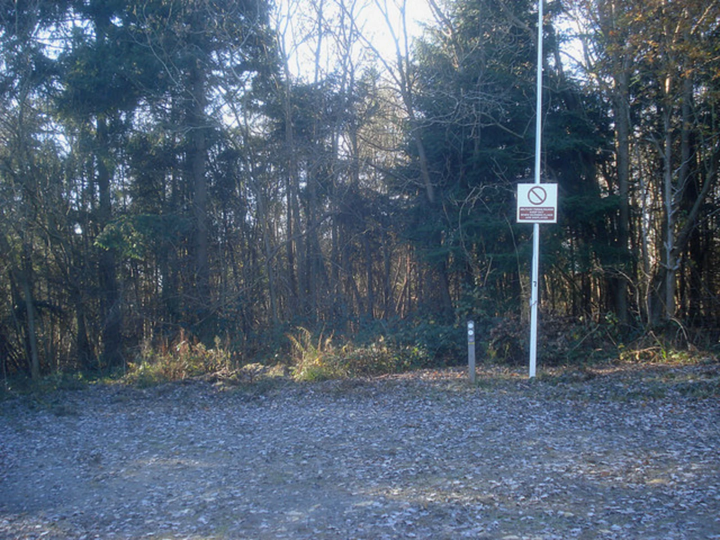 An image depicting the trail Tiddesley Wood Short Loop and its surrounding area.