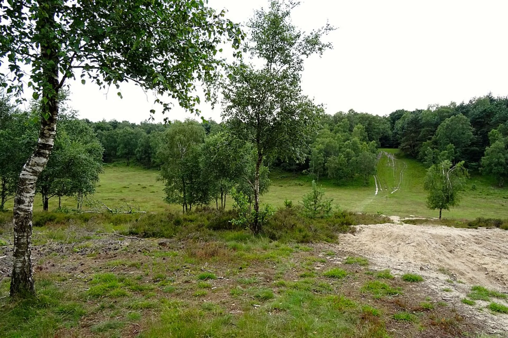 An image depicting the trail Konings Weg and Ouwendorper Weg via Houtdorperveld and its surrounding area.