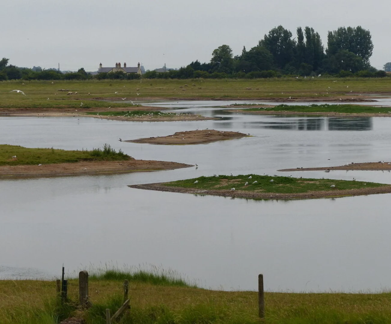 An image depicting the trail Freiston Shore Loop and its surrounding area.