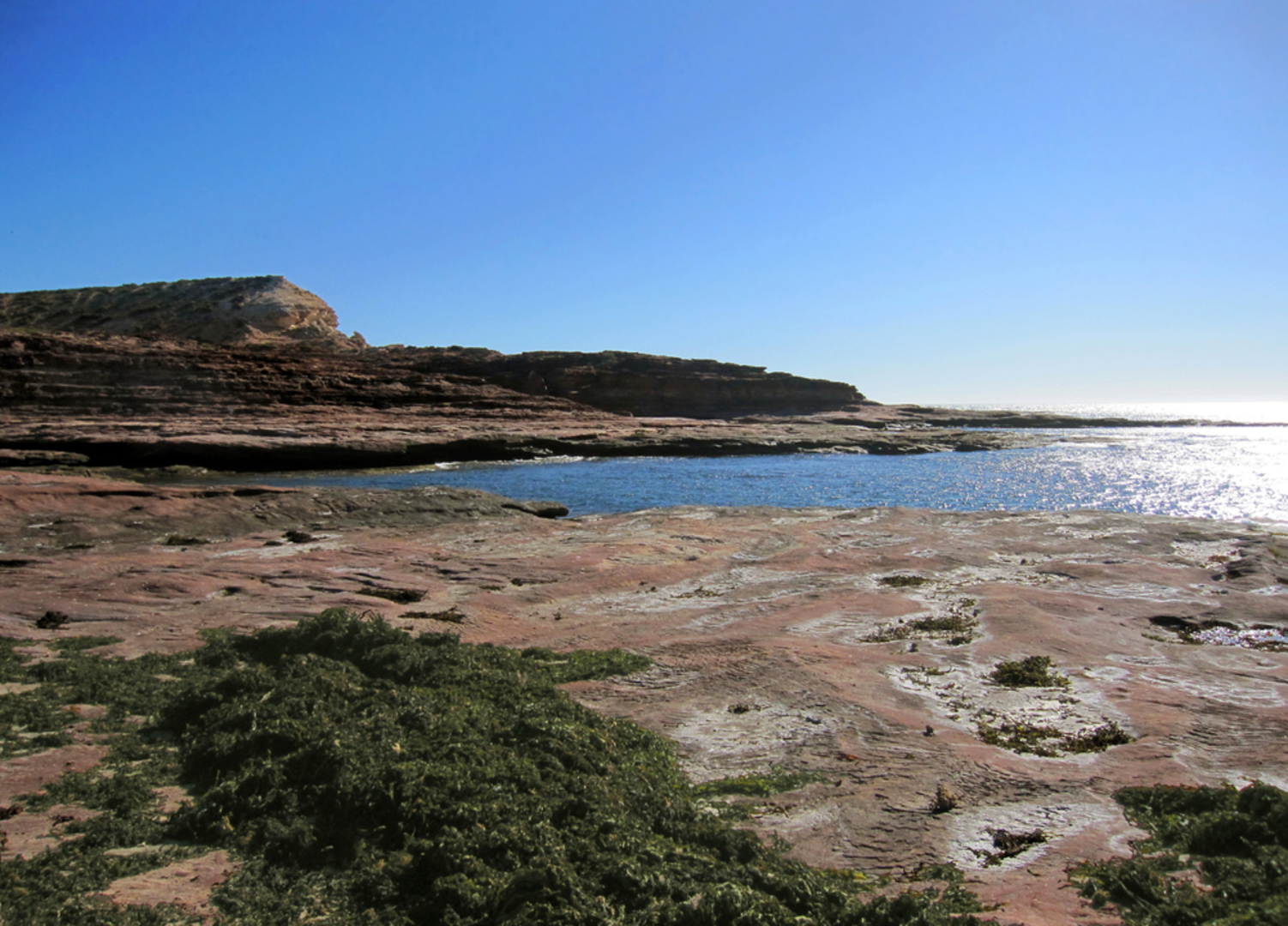 An image depicting the trail Red Bluff Lookout Trail and its surrounding area.