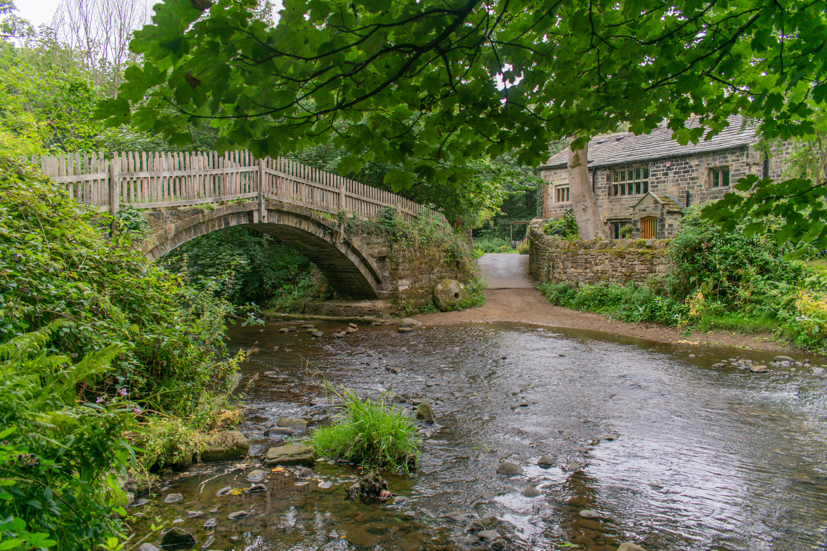 An image depicting the trail Stanza Stones Trail and its surrounding area.