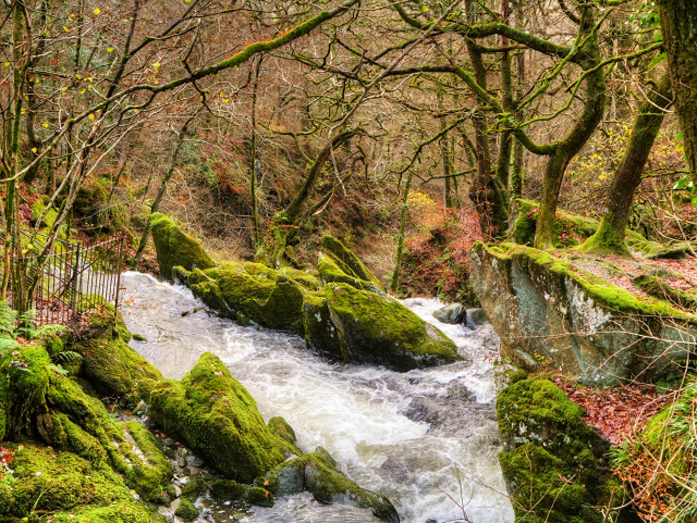 An image depicting the trail Wansfell Pike and Stock Ghyll Woods Loop and its surrounding area.