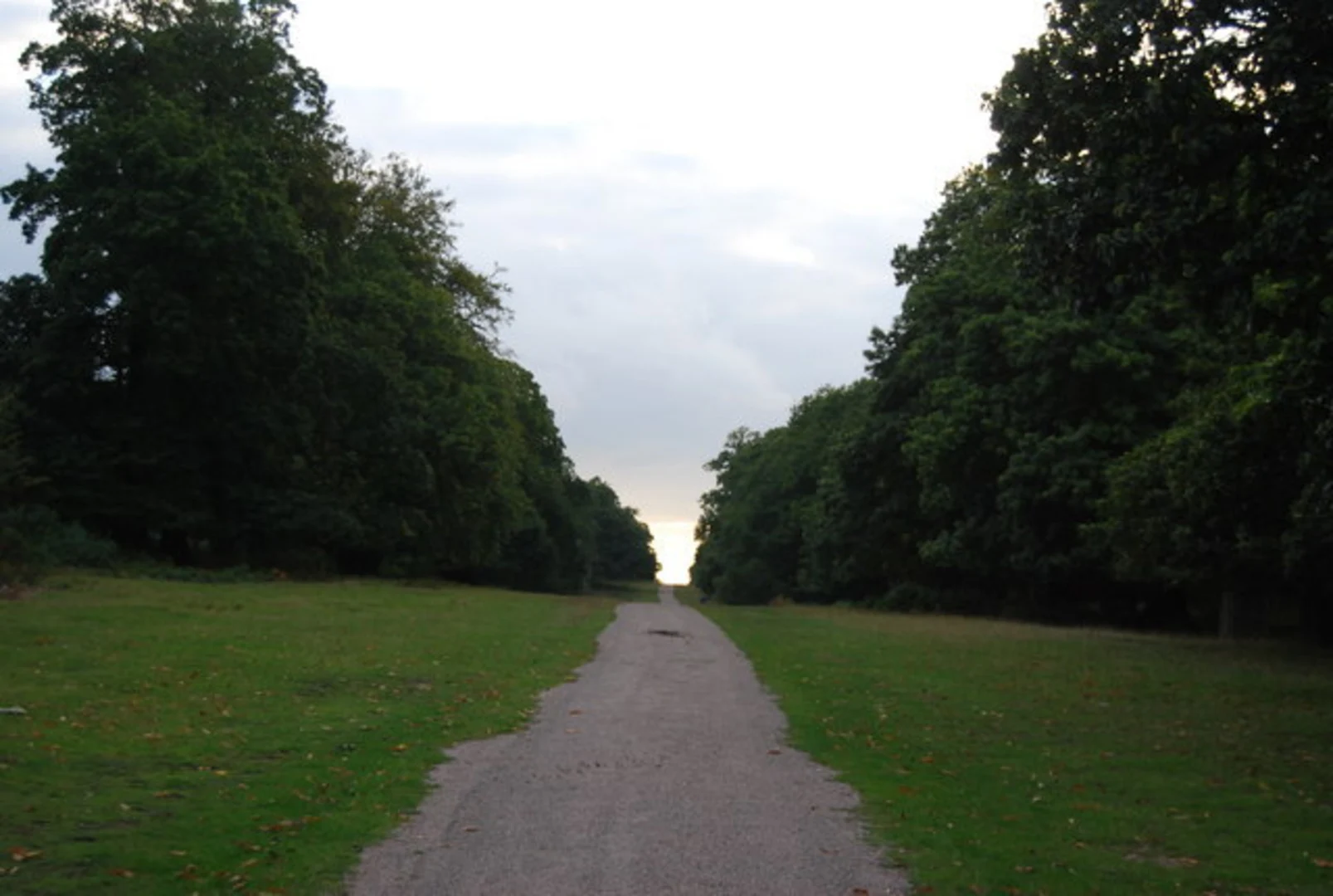 An image depicting the trail Knole Park and its surrounding area.