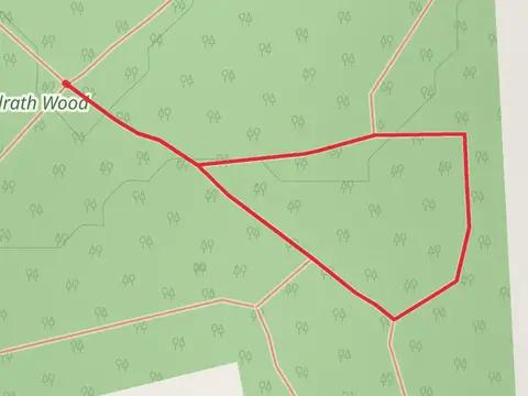 Balrath Wood - Easy Walk