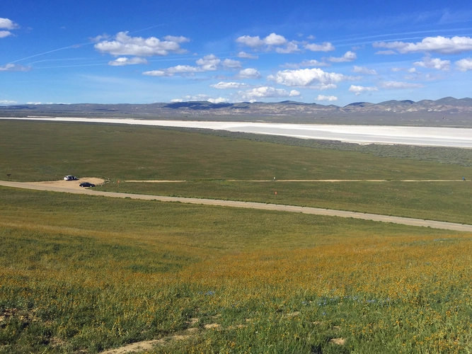 Soda Lake Overlook and Soda Lake Boardwalk