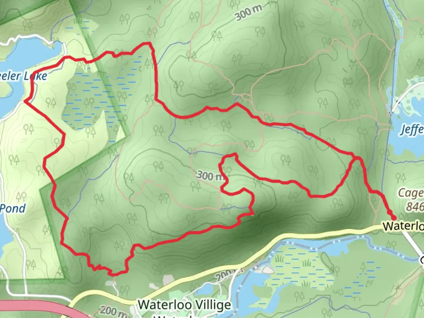 An image depicting the trail Pebble and White Loop Trail and its surrounding area.
