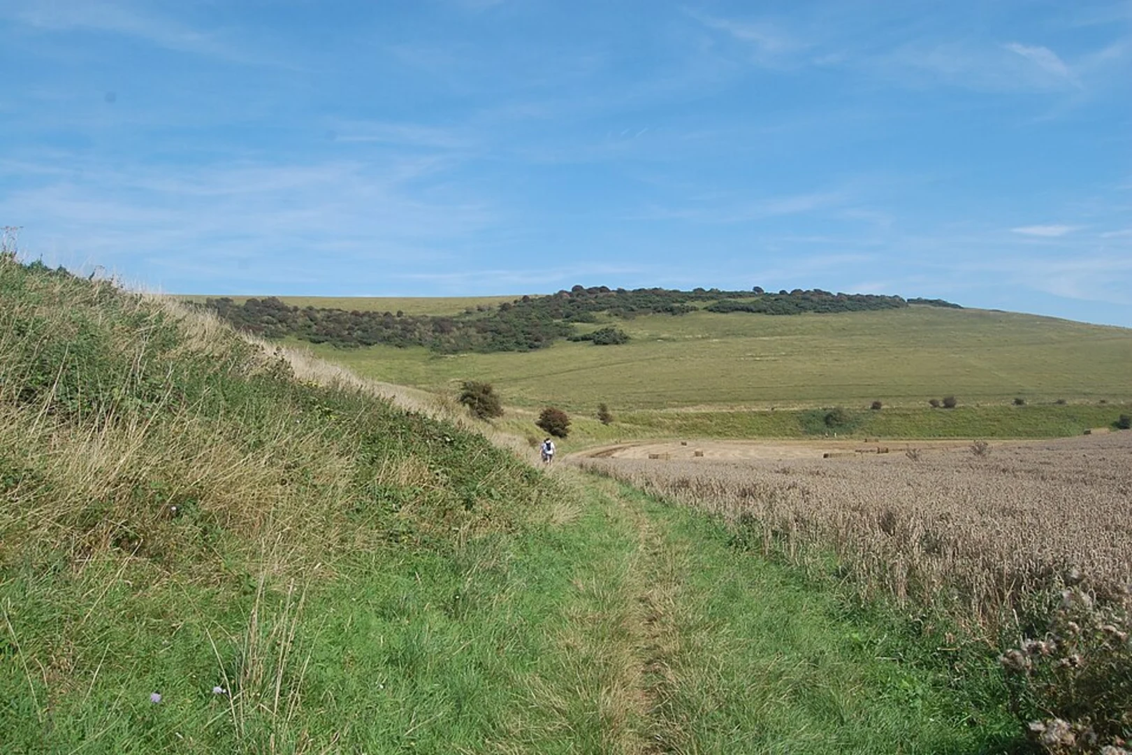 An image depicting the trail Castle Hill Loop - Kingston near Lewes and its surrounding area.