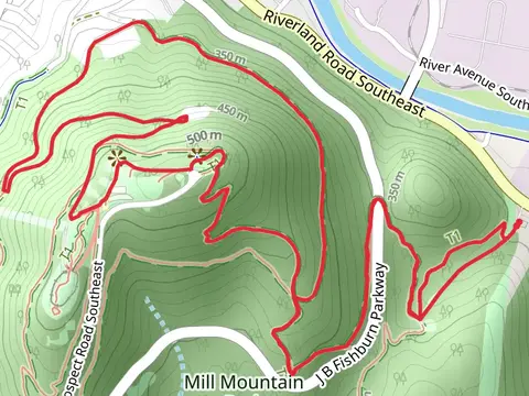 Mill mountain via Wood Thrush Trail and Start Trail Loop