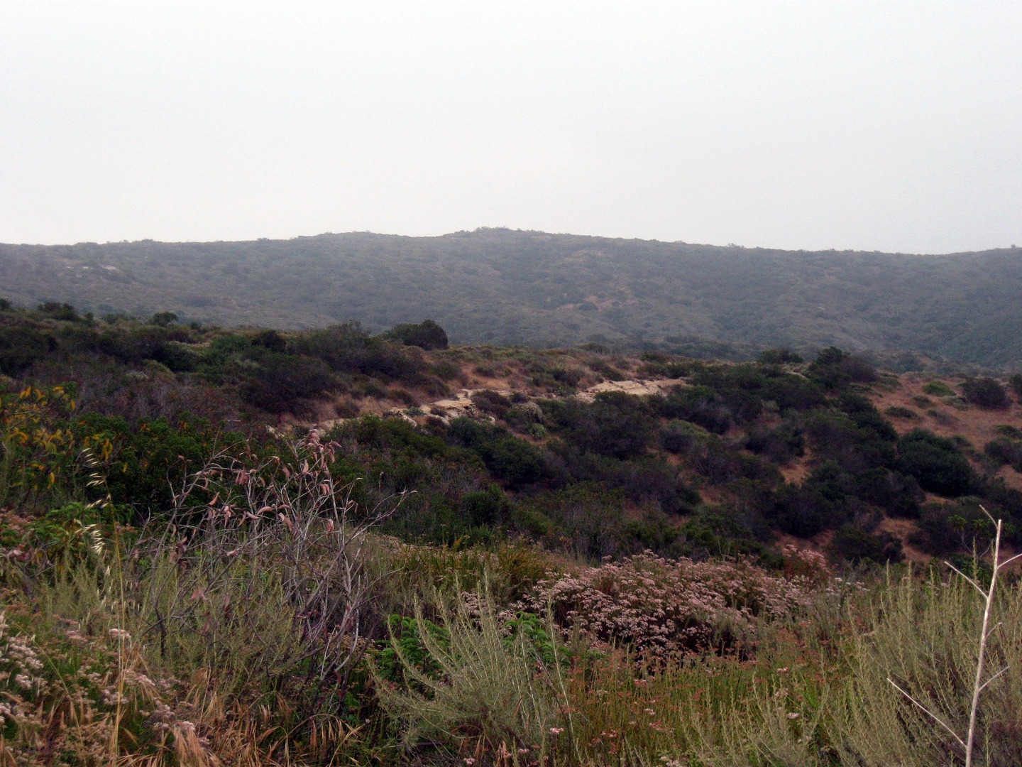 An image depicting the trail Moro Canyon Trail and Slow 'N Easy Loop and its surrounding area.