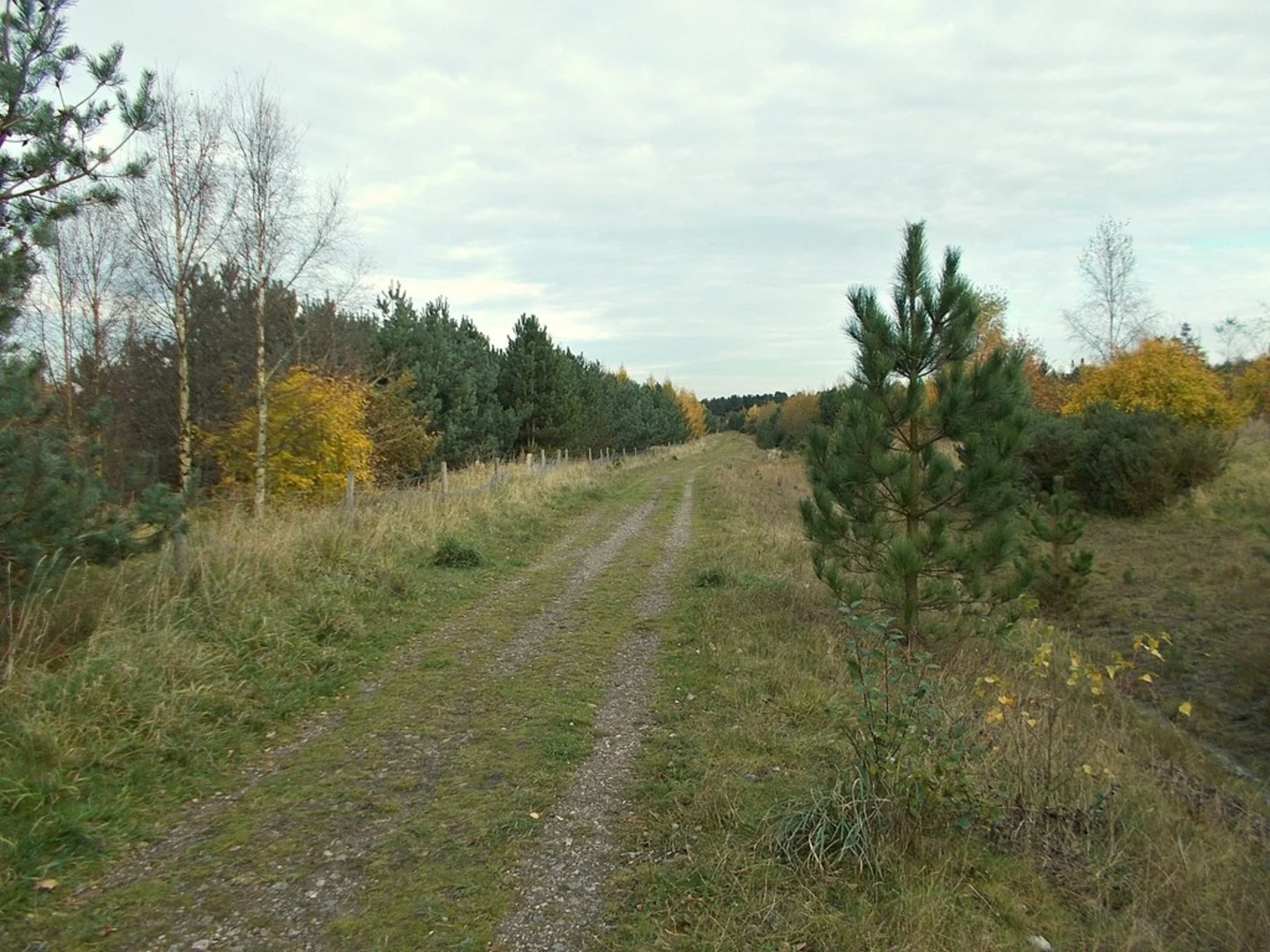 An image depicting the trail Calverton Colliery Loop and its surrounding area.