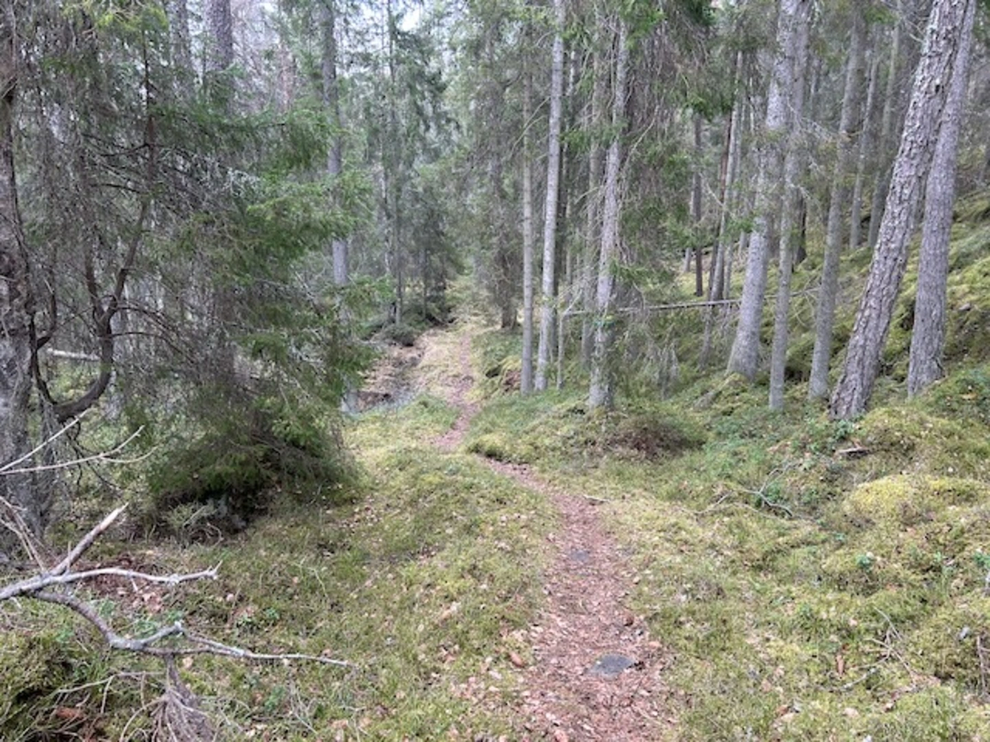 An image depicting the trail Stockholm Archipelago Trail - Ålö and its surrounding area.