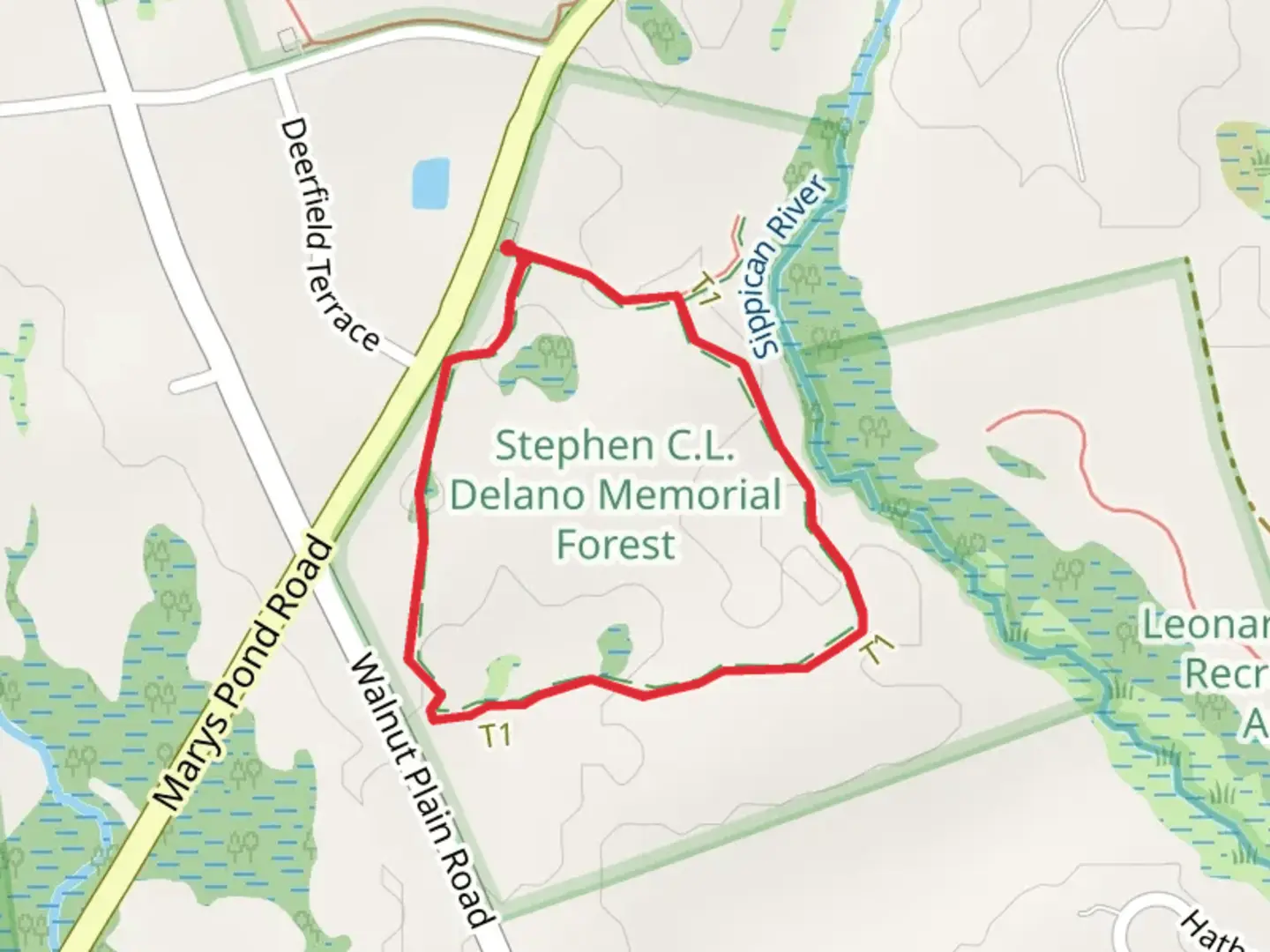 An image depicting the trail Stephen Delano Memorial Forest Loop and its surrounding area.
