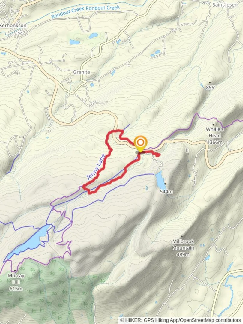 An image depicting the trail Jenny Lane and Peters Kill Falls Trail Loop and its surrounding area.