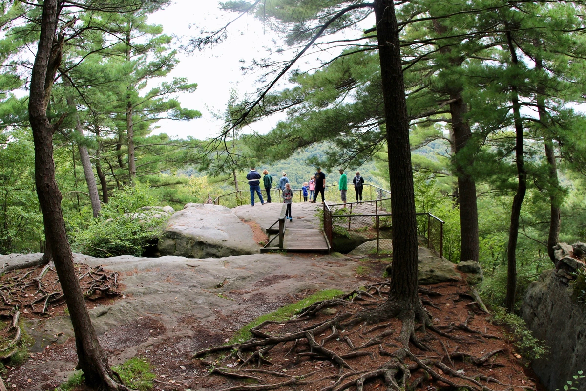 Clarion River via Fire Tower Trail