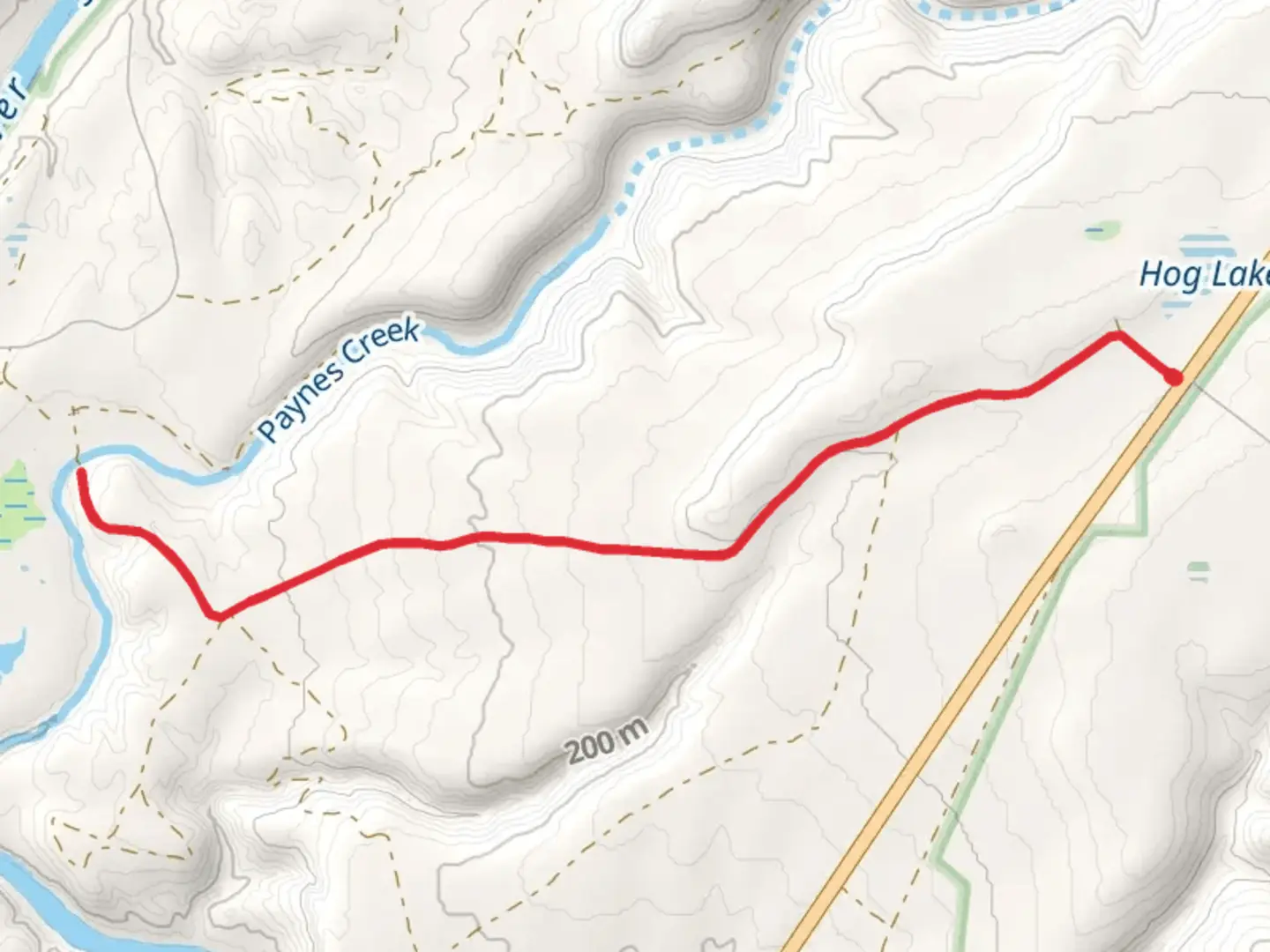 An image depicting the trail Paynes Creek from Hog Lake and its surrounding area.
