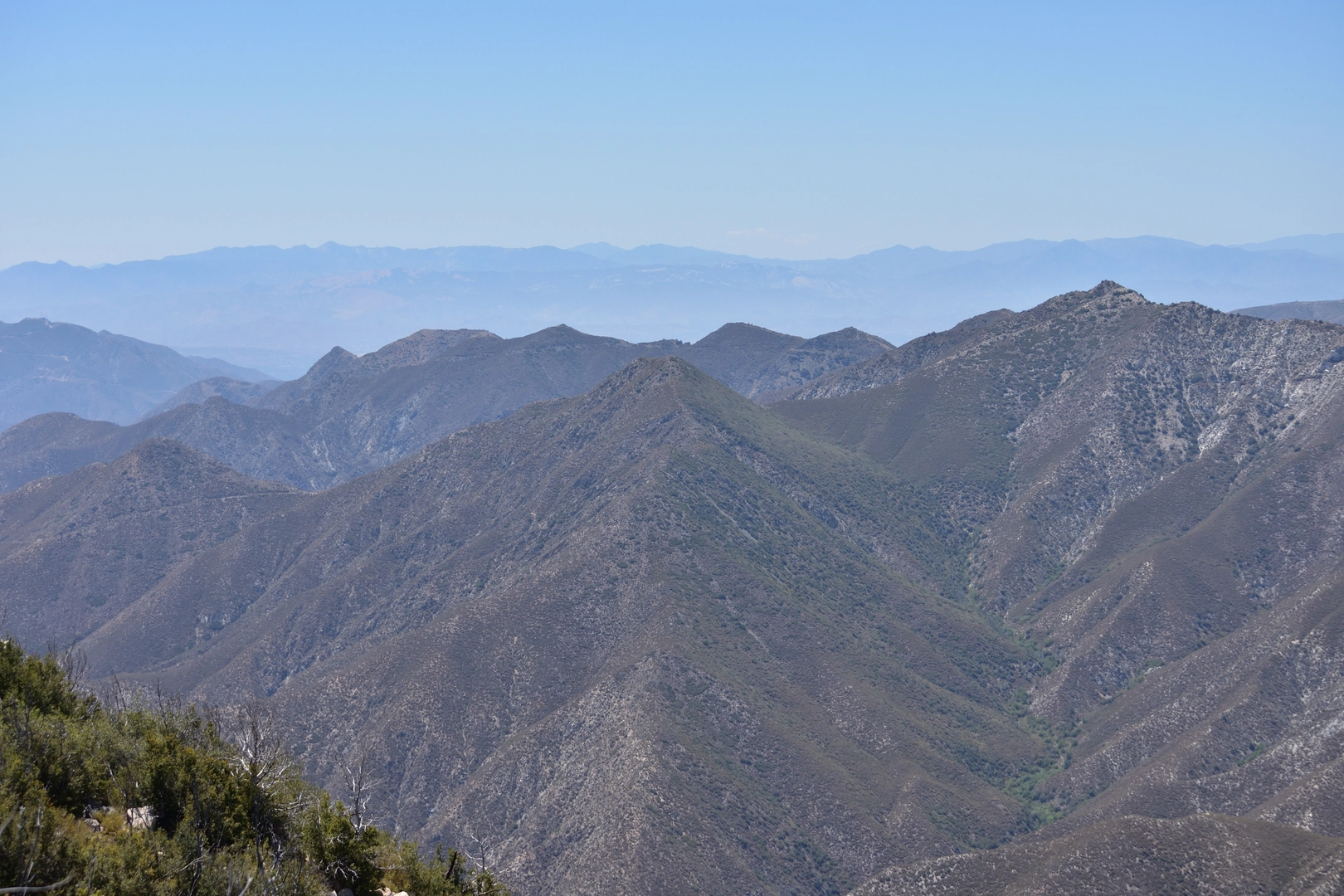An image depicting the trail Gold Canyon Saddle Gold Creek Saddle and Mount McKinley via Yerba Buena Trail and its surrounding area.