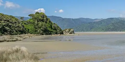 An image depicting the trail Abel Tasman Inland Track and its surrounding area.