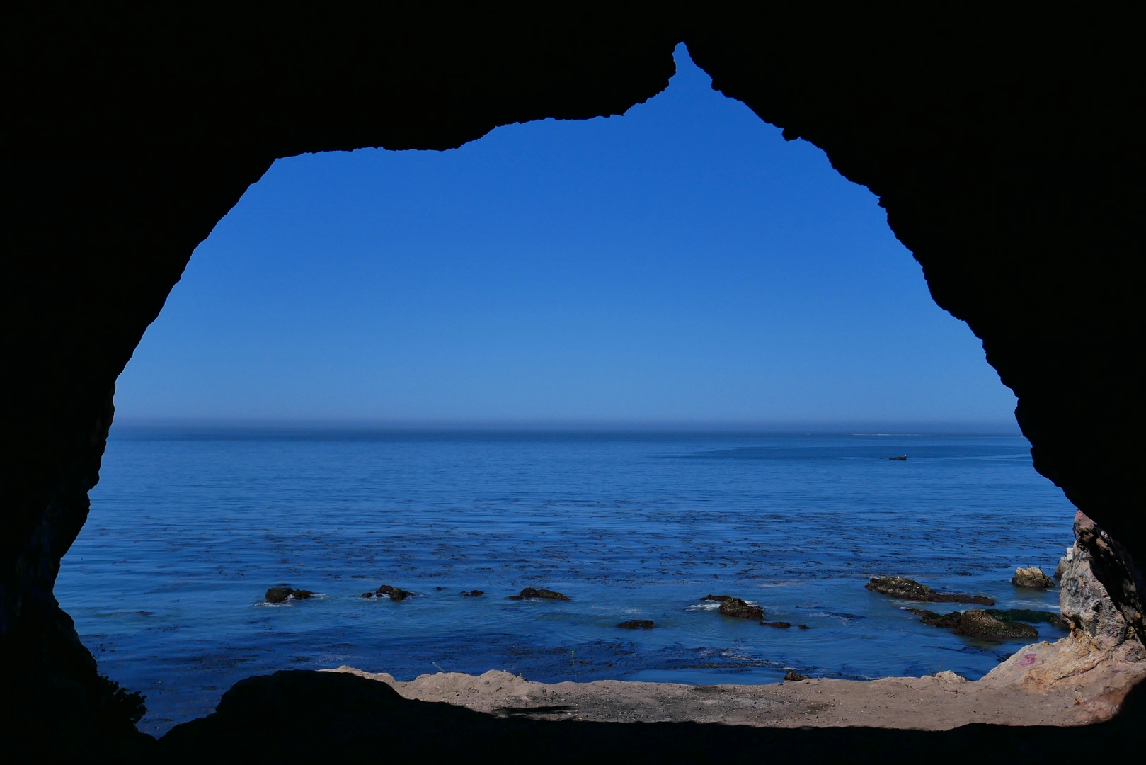 An image depicting the trail Pirates Cove via Coastal Trail and its surrounding area.