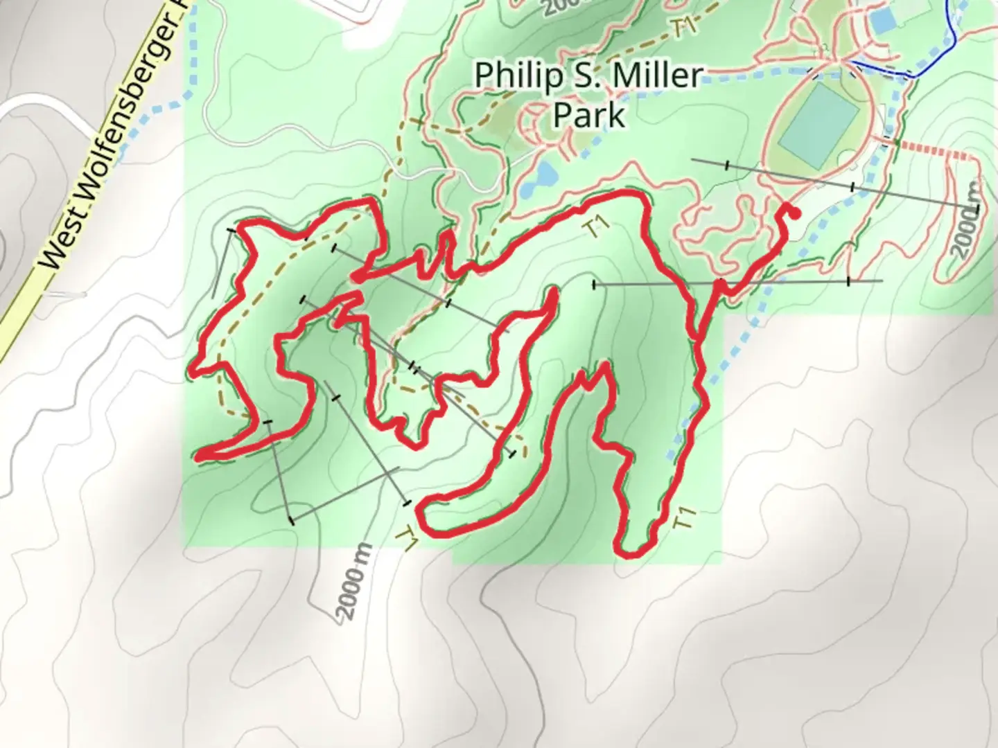An image depicting the trail Red Loop Trail and its surrounding area.
