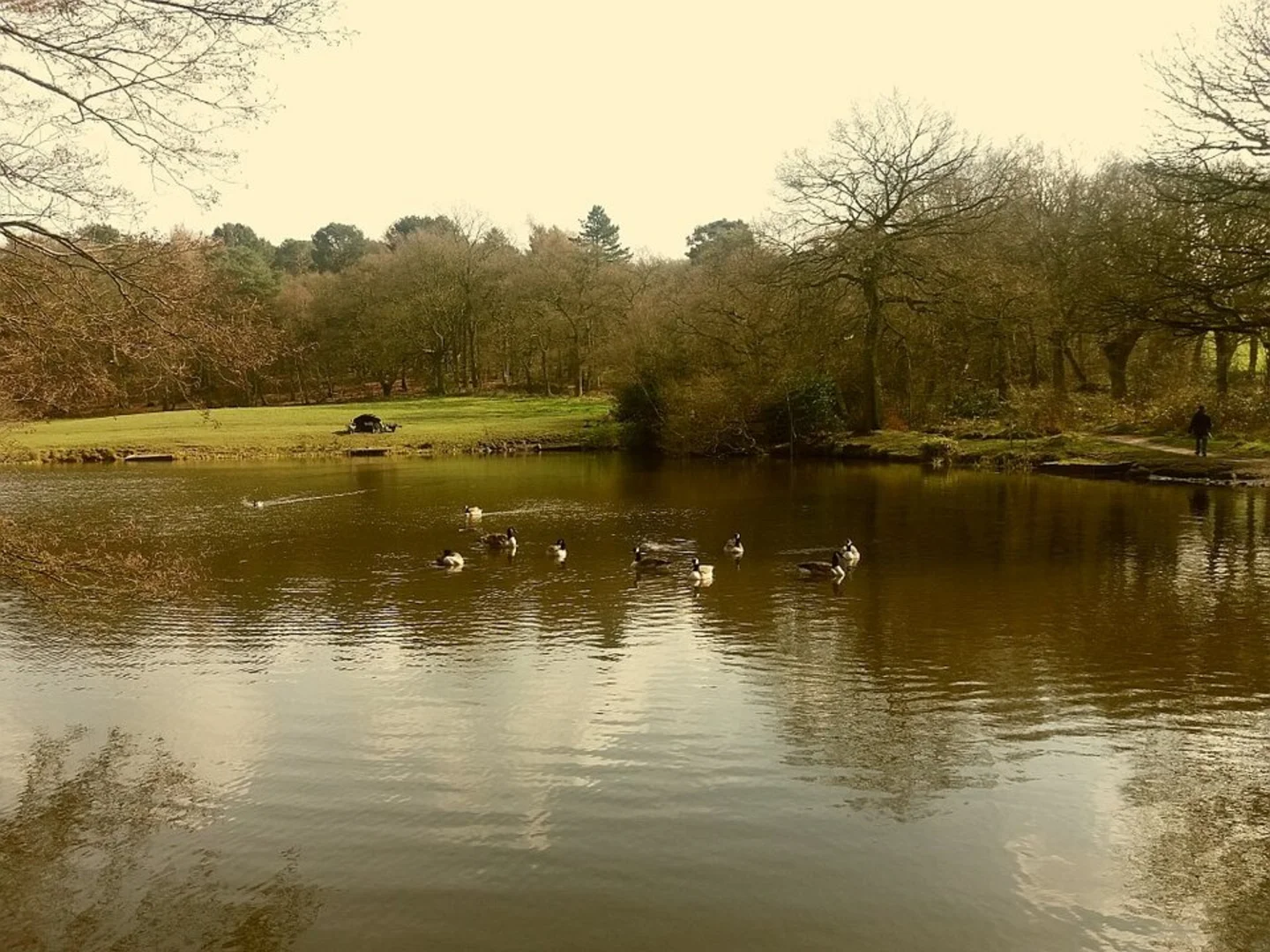 An image depicting the trail Biddulph Grange Country Park Loop and its surrounding area.