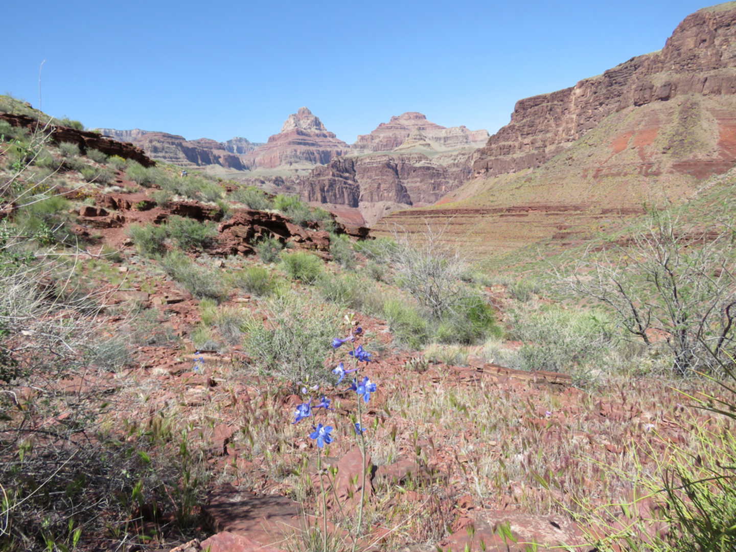 An image depicting the trail Escalante Route Trail and its surrounding area.