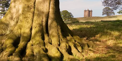 An image depicting the trail Lyme Park Walk and its surrounding area.