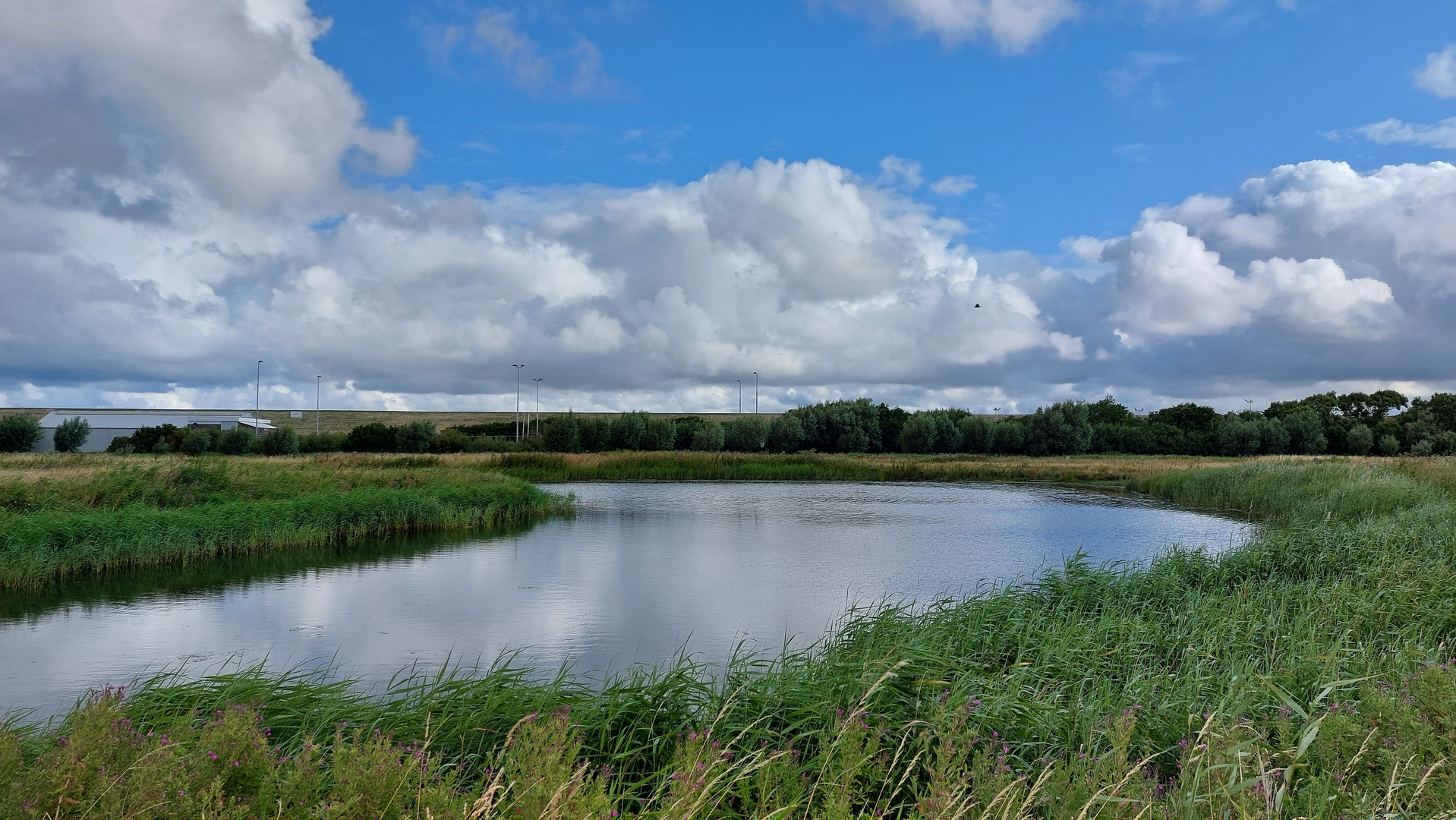 An image depicting the trail Den Helder to De Nollen Camp via Noord Duinen and Helderse Zeekering and its surrounding area.