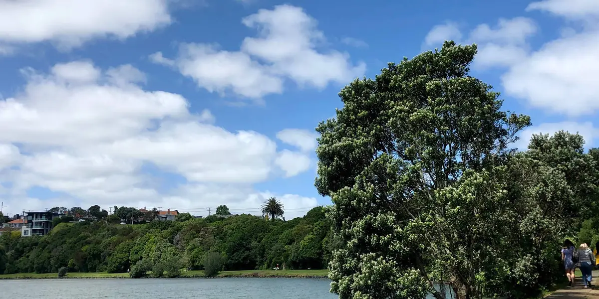 Orakei Basin Walkway