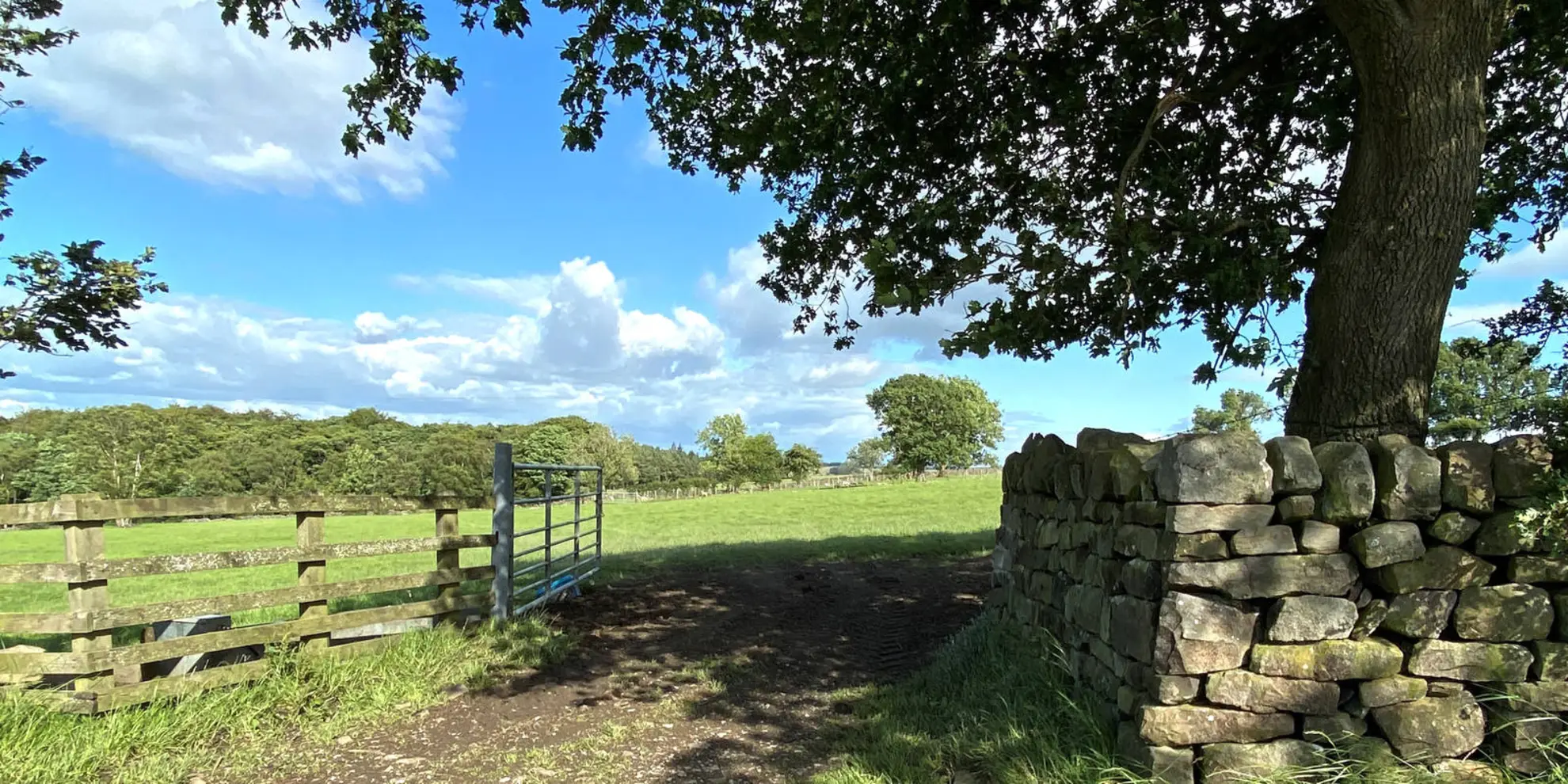An image depicting the trail Great Timble - Ellarcarr Pike - Lippersley Pike - Gawk Hill Gate and Timble Ings and its surrounding area.