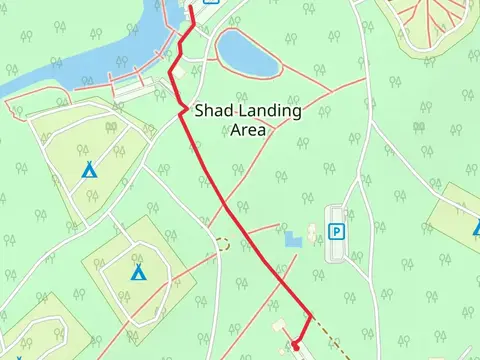 Shad Landing Area Walk