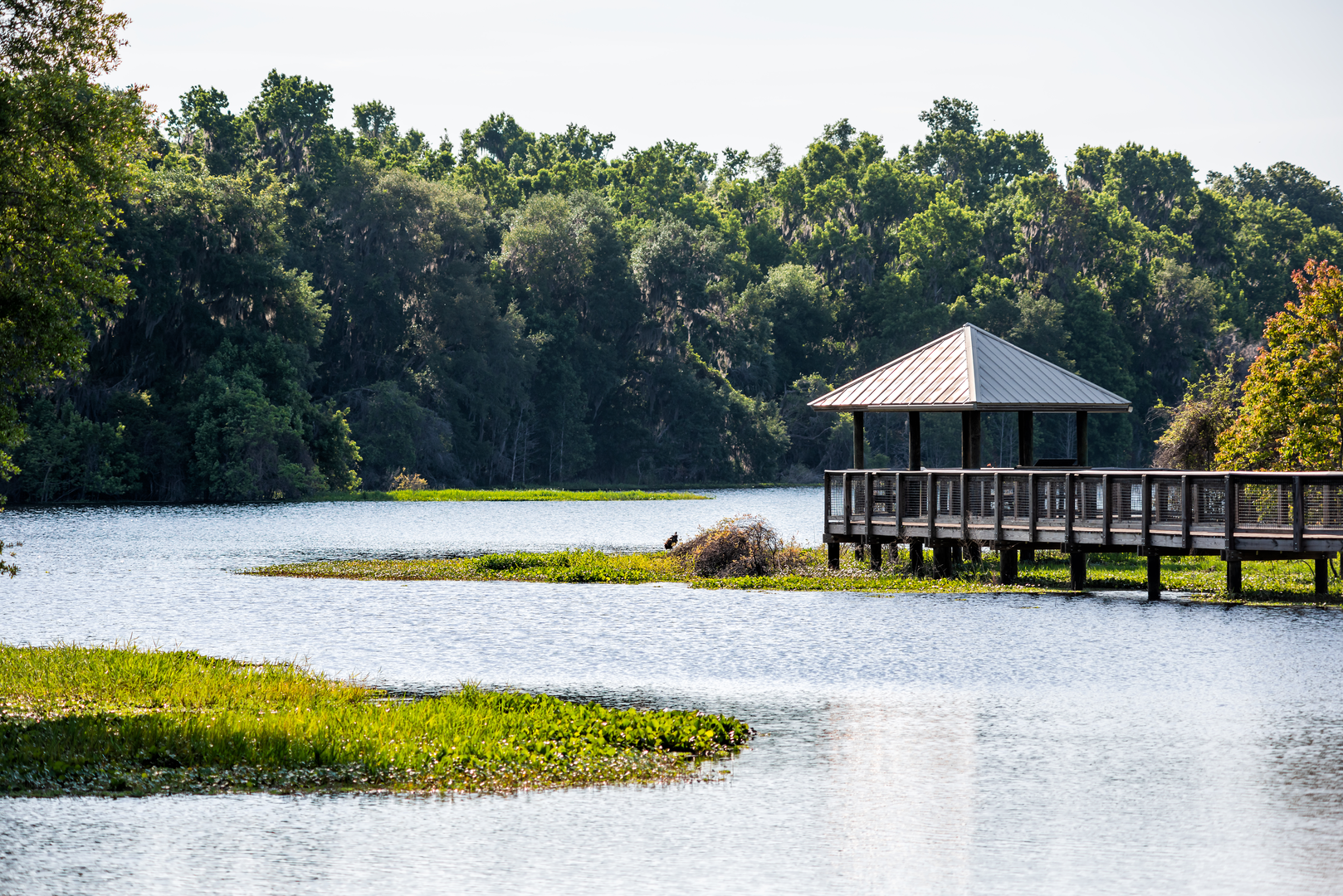 An image depicting the trail Linear Florida Trail - Prairie Lakes and its surrounding area.