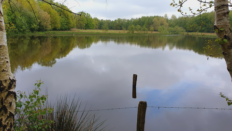 Maasdijk to Bpovendijk via Berm and Jan Ktingenweg