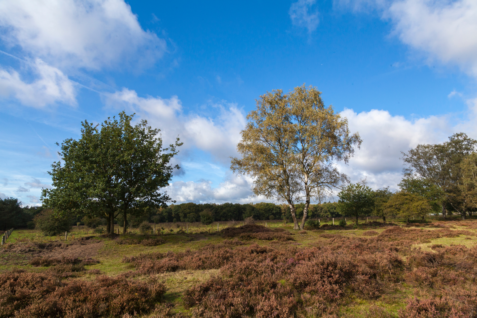 An image depicting the trail Spelderholt, Oud Reensterveld and Hoenderlose via Noordweg and Waterbergweg and its surrounding area.