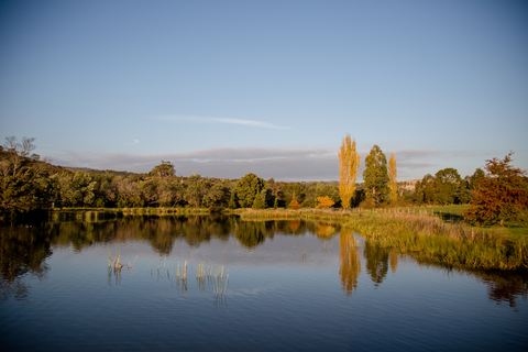 Waverley Lake Trail